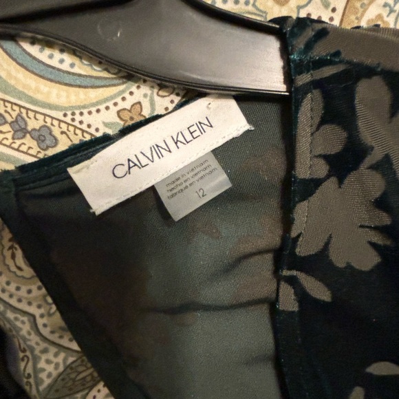 Calvin Klein Hunter Green Velvet Dress - Picture 3 of 3